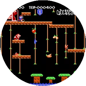 Donkey Kong Jr. - Video game