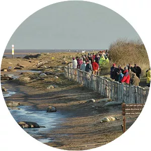 Donna Nook photograph
