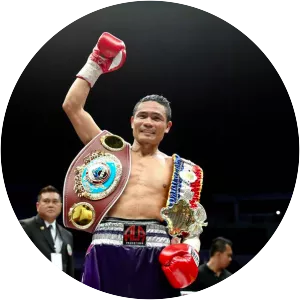 Donnie Nietes - Filipino professional boxer