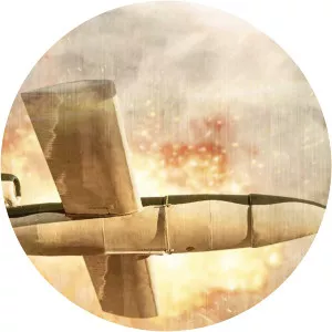 Doodlebug SummerSince 2002