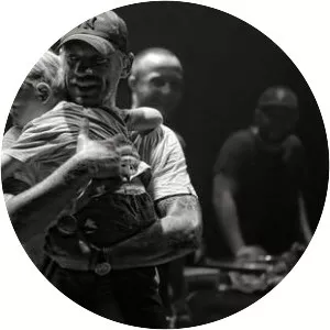 Dooz Kawa - Musician