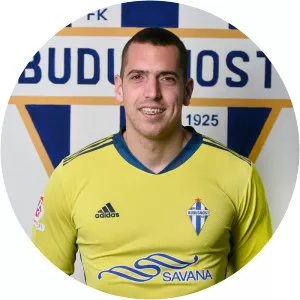 Đorđije Pavličić