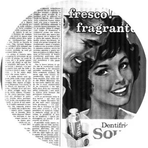 Dorina Corso Majorana photograph