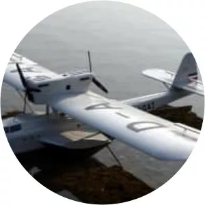 Dornier Do J