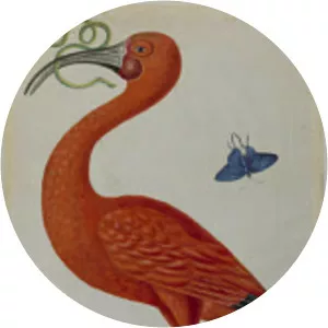 Dorothea Maria Graff