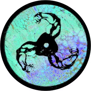 Dorothys Fortress - Musical artist