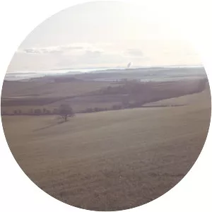 Dorset Downs photograph