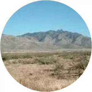 Dos Cabezas Mountains - 