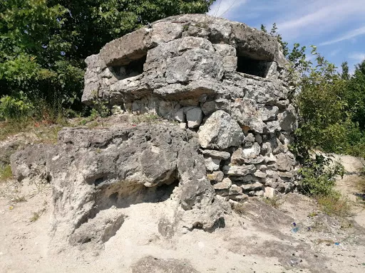 Dot Pershoyi Svitovoyi Viyny