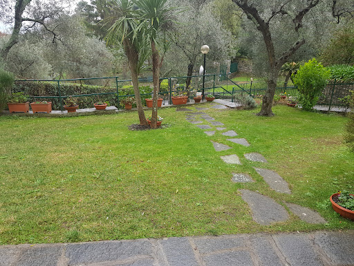 Dott. Andrea Training Pesce | Personal trainer - Personal trainer in Rapallo, Italy