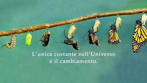 Dott.ssa Carmen Attruia Psicologa Genova Foce