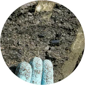 Doty Hills photograph