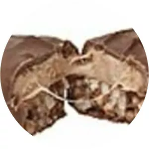 Double Decker - Chocolate bar