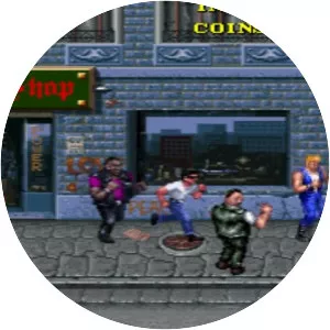 Double Dragon 3: The Rosetta Stone