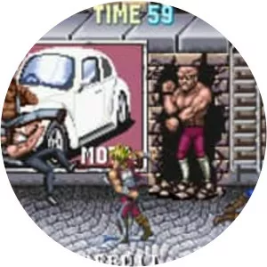 Double Dragon Advance