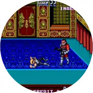 Double Dragon II: The Revenge