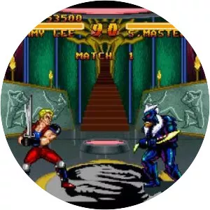 Double Dragon V: The Shadow Falls