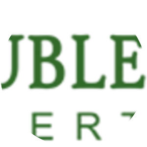 DoubleDragon Properties