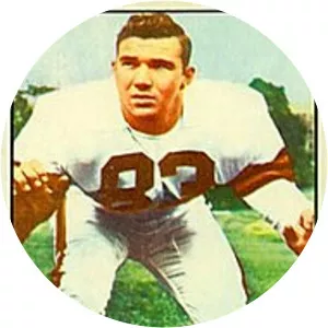 Doug Atkins - American football player
