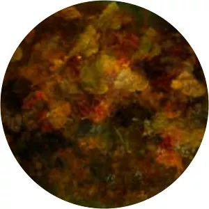 Doug Chinnery - Photographer