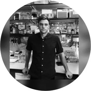 Doug Fink - Musician