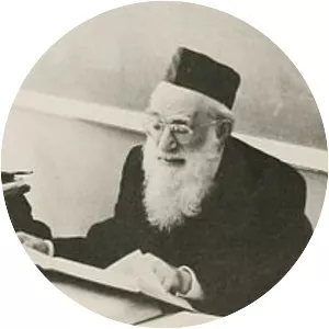 Dovid Lifshitz - Rabbi