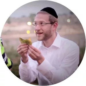 Dovid Lowy - Musical artist