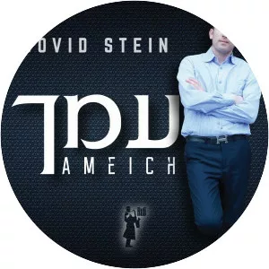Dovid Stein - Musical artist