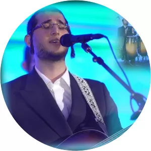 Dovy Meisels - Musical artist