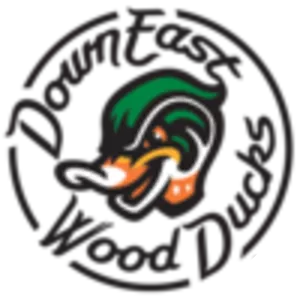 Down East Wood Ducks