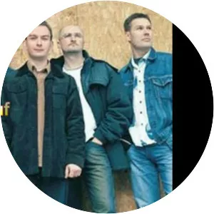 Down to the Bone  - Band