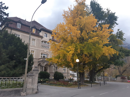 Dr. Leo Scola - Doctor in Innsbruck, Austria