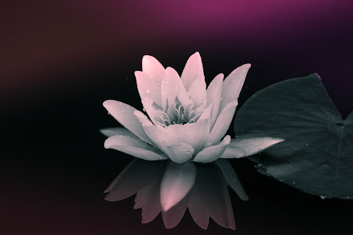 Dr. Nora Santer - Urologist in Worgl, Austria