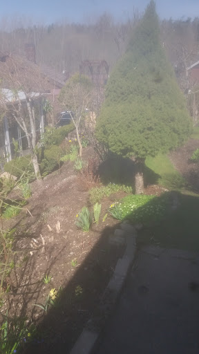 Dr. Said Fagheeh - Osteopath in Uddevalla, Sweden