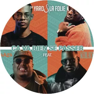 Dr. Yaro & La Folie - Musical artist