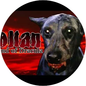 Dracula's Dog - 1978 ‧ Horror ‧ 1h 30m