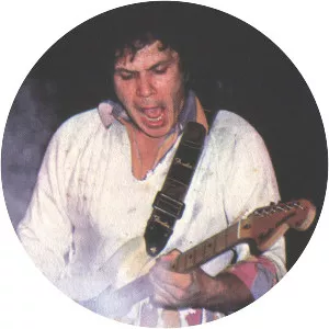 Dragan Gužvan - Musical artist