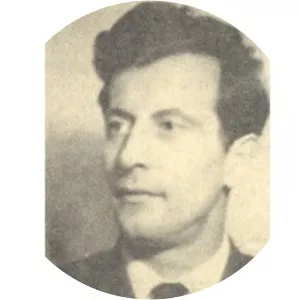 Dragoje Živković - Historian