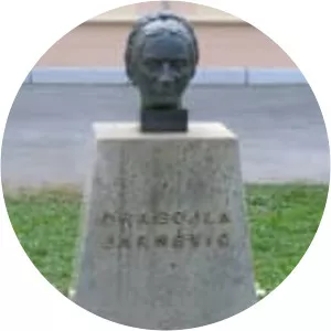 Dragojla Jarnević