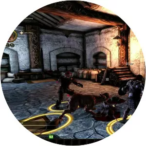 Dragon Age: Origins - Video game