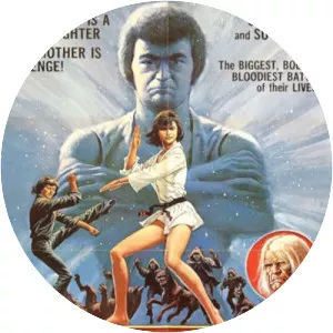 Dragon Princess - 1976 ‧ Action/Martial Arts ‧ 1h 21m