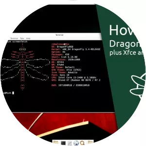 DragonFly BSD photograph