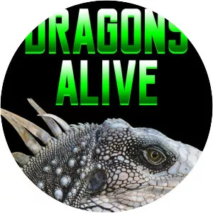 Dragons Alive