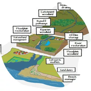 Drainage basin - 