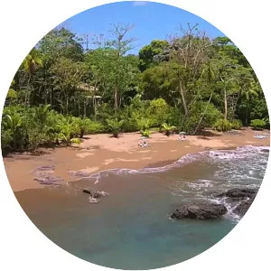 Drake Bay - Bay in Costa Rica