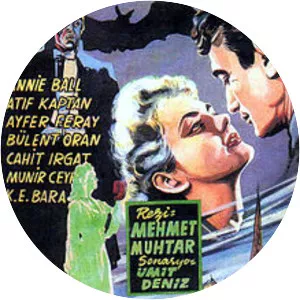 Drakula İstanbul'da