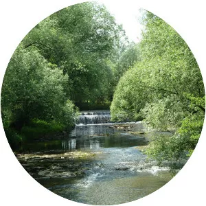 Dravinja - Tributary in Slovenia