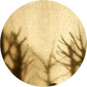 Dreams from the Woods