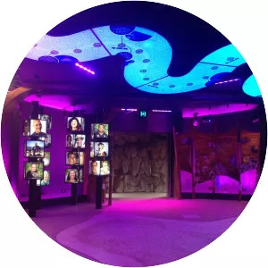 Dreamworld Corroboree