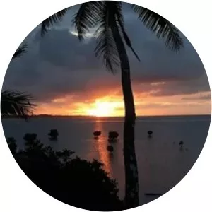 Drekena serenaders - Musical artist